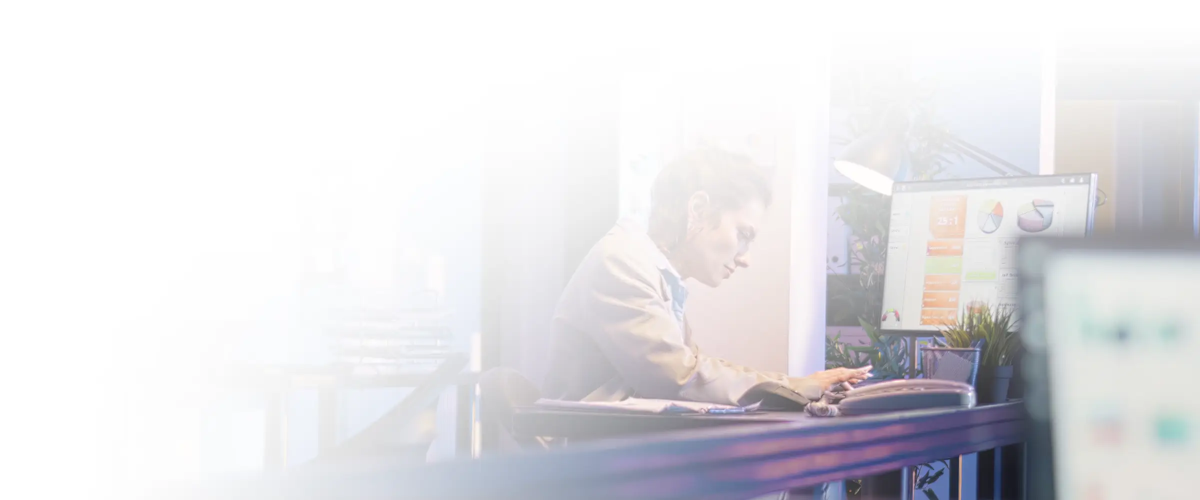 Professional technology workspace